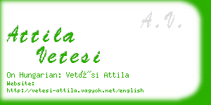 attila vetesi business card